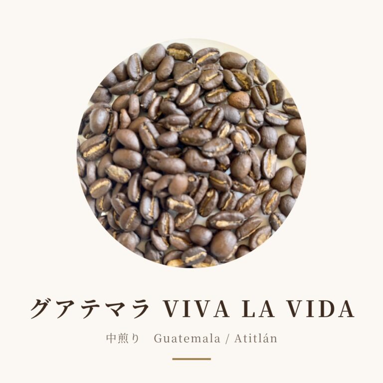 グアテマラ VIVA LA VIDA